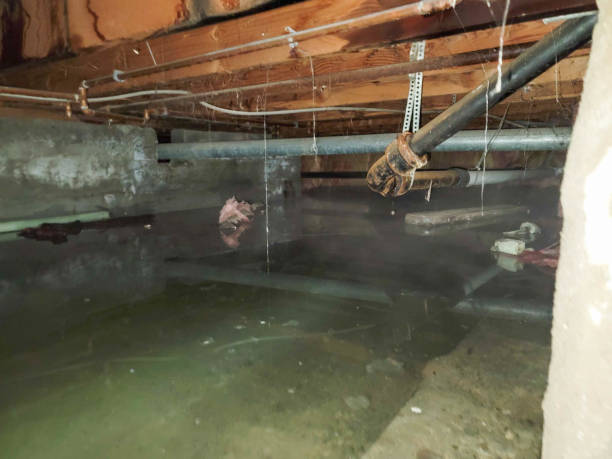 Best Water damage restoration process  in Shirley, NY