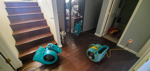 Best Residential water damage restoration  in Shirley, NY