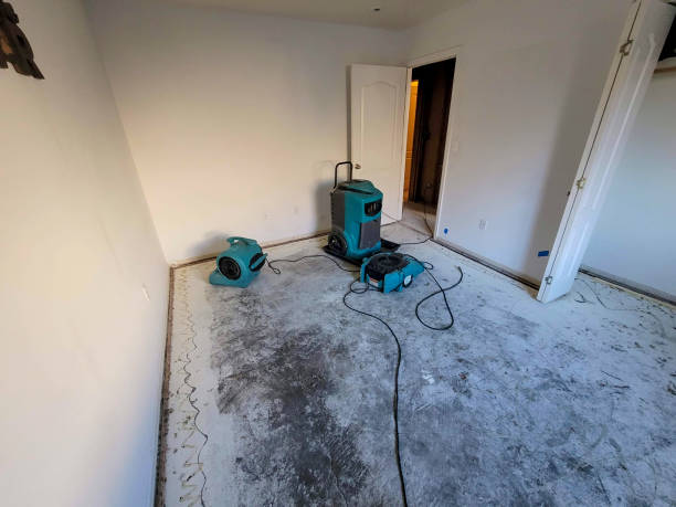 Best Flood damage cleanup  in Shirley, NY