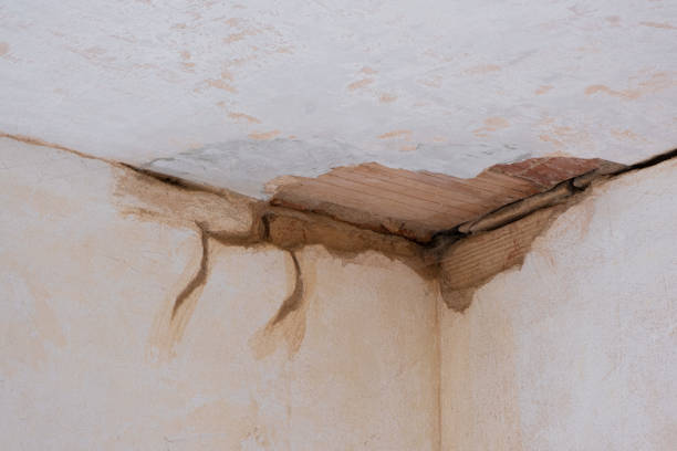  Shirley, NY Water damage restoration Pros