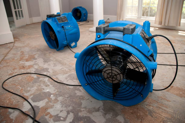 Best Water damage restoration company  in Shirley, NY