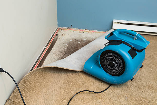 Best Flood restoration services  in Shirley, NY